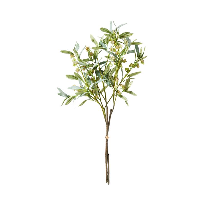 Botanical Green Flowering Olive Bunch Stem