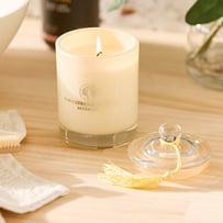 Wavertree & London 250ml Pineapple Coconut & Lime Candle