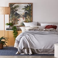 Supersoft Silver Blanket