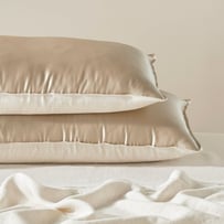 Vintage Washed Linen Silk Linen Pillowcase Pair