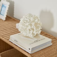 Marine Life Coral Statue