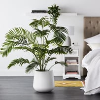 Areca Palm Potted Plant 160cm