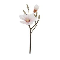 Magnolia Pink Stem