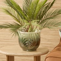 Lilah Gradient Green Leaf Pot