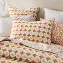 Aasha Sandstorm Quilted Pillowcases