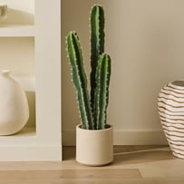 Potted Green Large Cactus