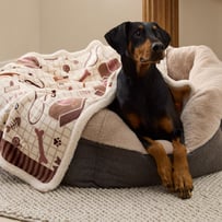 Maisy Best Friends Chocolate Pet Blanket