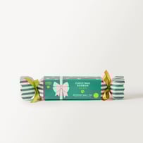 Festive Bon Bon Reindeer Pet Toy