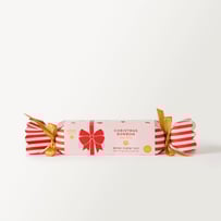 Festive Bon Bon Santa Pet Toy