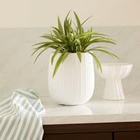 Woollahra White Small Pot