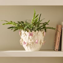 Butterfly & Bird White, Blue & Pink Pot