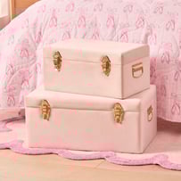 Pink Check Storage Trunk