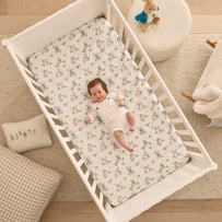 Peter Rabbit Fitted Sheet Pack of 2