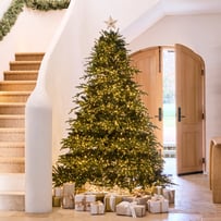Deluxe Pine Green LED Christmas Tree