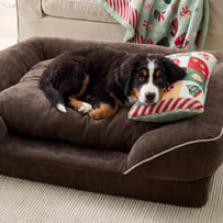 Santa Paws Green Pet Pillow