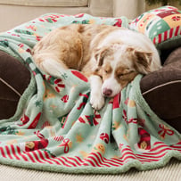 Santa Paws Green Pet Blanket