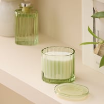 Solène Willow Musk Candle 300g