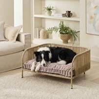 Oasis Tommy Coffee Pet Bed Cushion