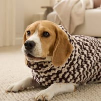 Lola European Turkish Cotton Chocolate & Natural Drying Jacket