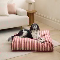 Etro Stripe Cedar Velvet Pet Bed
