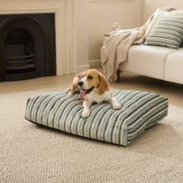 Etro Stripe Seaspray Velvet Pet Bed