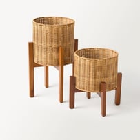 Arizona Natural Plant Stand