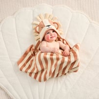 Nursery Lion Hooded Towel