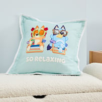Bluey Family Trip Mint Cushion
