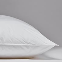 Dreamer Medium Profile Body Pillow