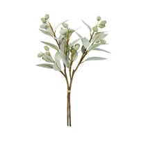 Botanical Silver Green Gum Nuts Stem
