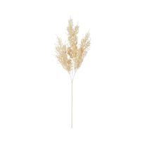Winter Cream Cypress Stem