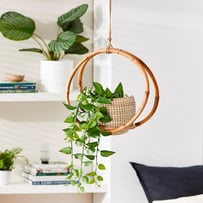 Airlie Hanging Circle Plant Stand Arch