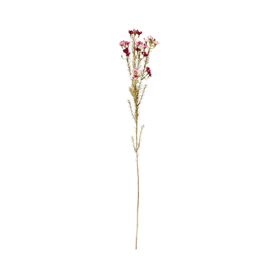 Native Stem Purple Budelia Spray