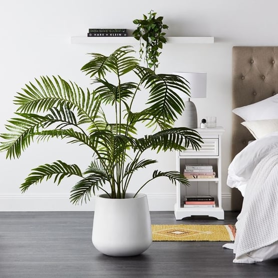 Areca Palm Potted Plant 160cm
