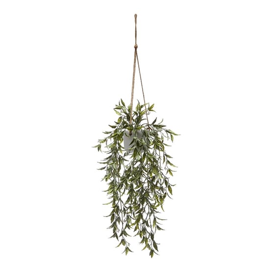 Willow Silver Green Hanging Fern