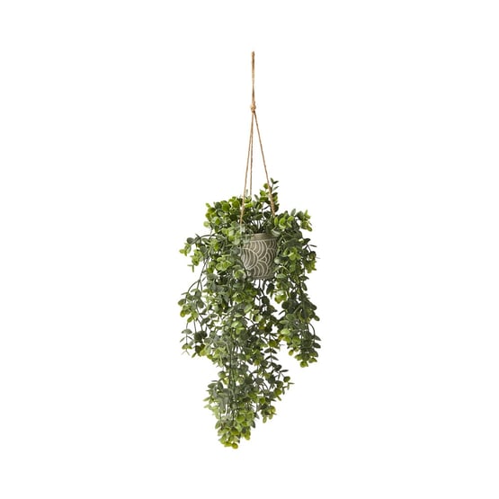 Eucalyptus Hanging Fern 45cm