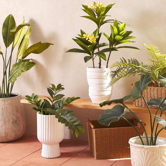 Lilah White Leaf Pot