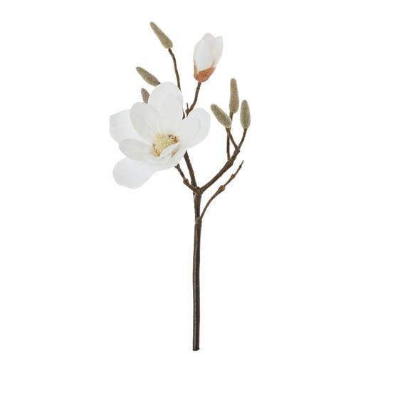 Magnolia White Short Stem