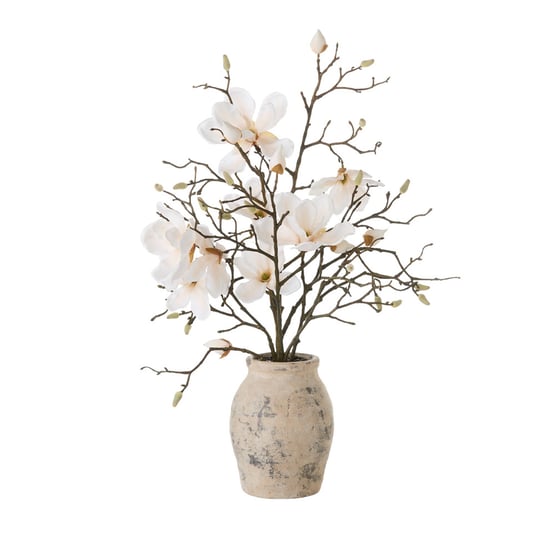 White Magnolia in Ceramic Vase