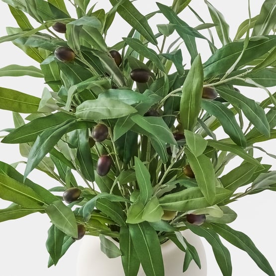 Green Flower Olive Stems In Ceramic Vase