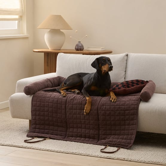 Maisy Chocolate Double Fold Out Pet Bed