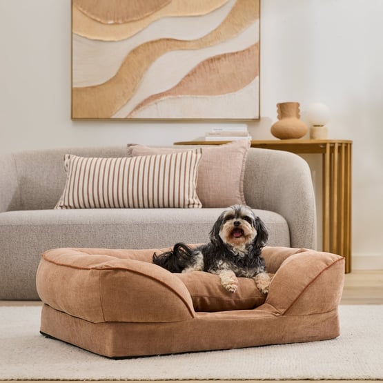 Adeline Latte Pet Bed