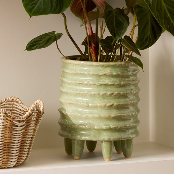 Mayan Sage Medium Pot