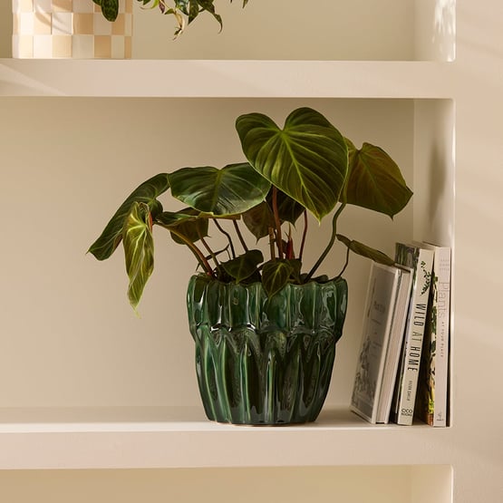 Lima Green Small Pot