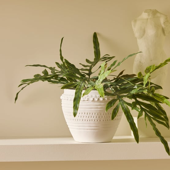 Kenya White Pot