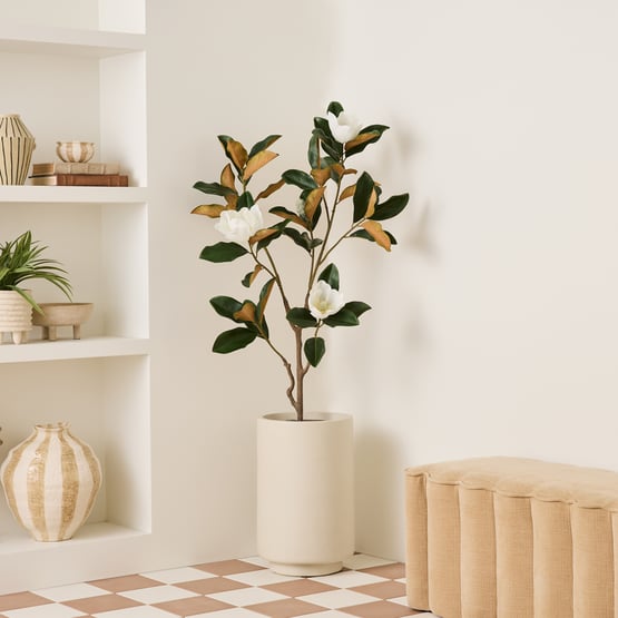 Clovelly Warm White Medium Pot