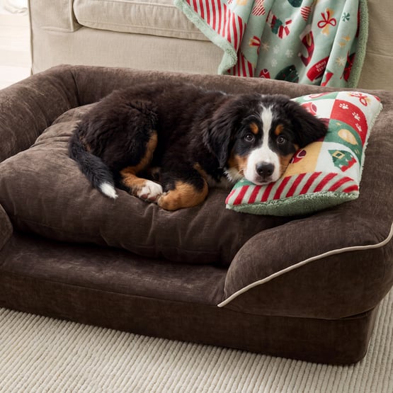 Santa Paws Green Pet Pillow