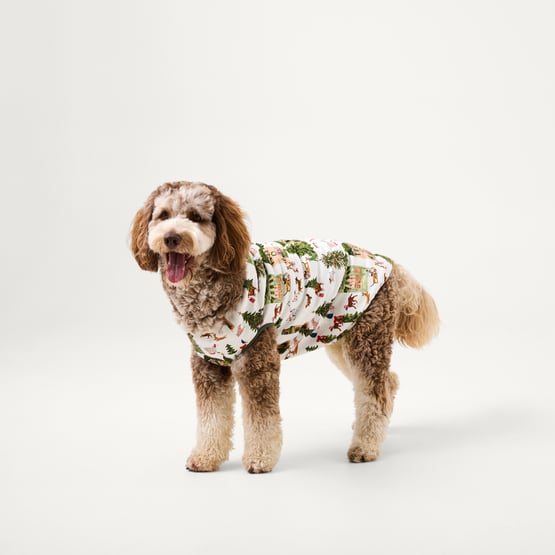 Pet Christmas Village Green Pyjamas