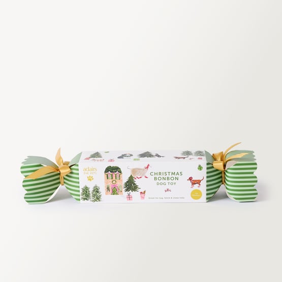 Festive Multi & Green Bon Bon Dog Toy