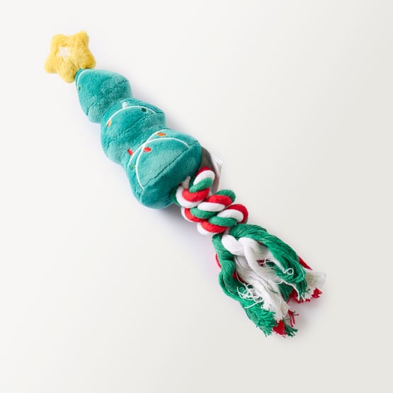 Festive Multi & Green Bon Bon Dog Toy